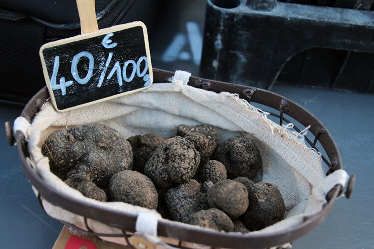 Truffle market in Provence during winter, with local farmers and seasonal produce.